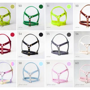 Harness for rabbits - Unique model for rabbits image 8