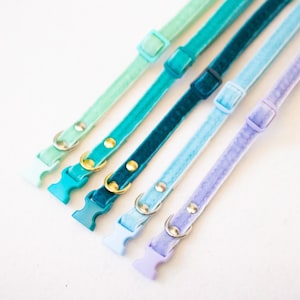 Collars for puppies and small dogs - Velvet image 6