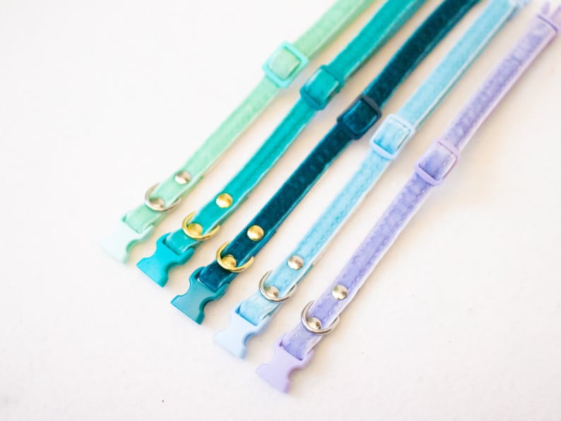 Collars for puppies and small dogs - Velvet image 6