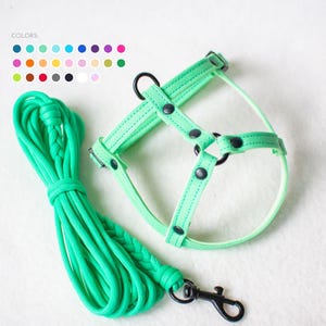 Harness for rabbits - Unique model for rabbits image 1