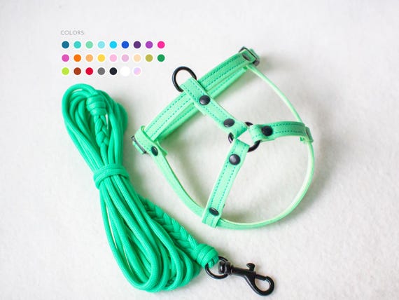 Harness for rabbits - Unique model for rabbits