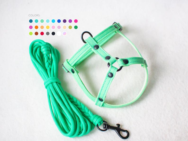 Harness for rabbits - Unique model for rabbits image 1