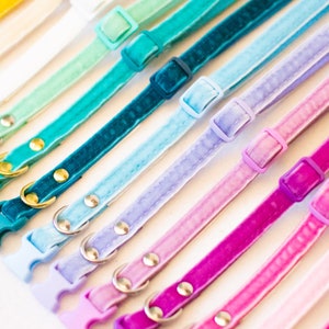 May include: A collection of colorful velvet collars for pets. The collars are arranged in a rainbow pattern, with each collar featuring a different color. The collars are made of a soft, luxurious velvet material and have a simple, elegant design.