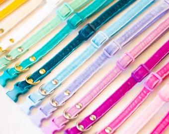 Collari per cuccioli e cani di piccola taglia - Velvet