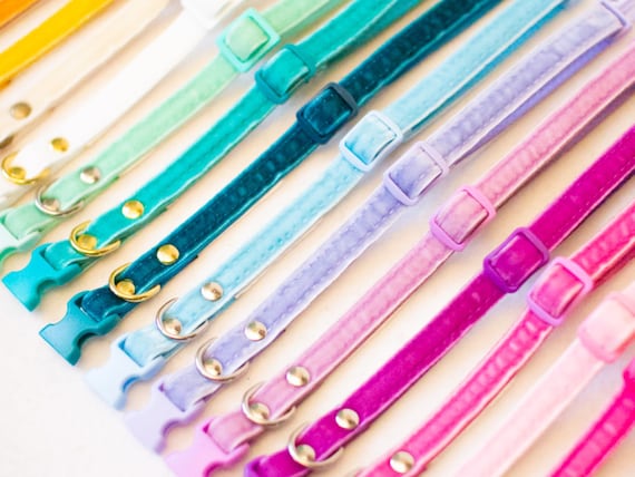 Collars for puppies and small dogs - Velvet