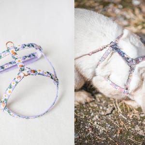 Harness for rabbits - Unique model for rabbits image 13