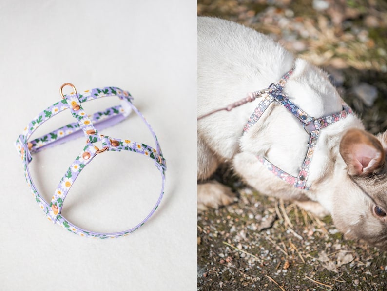 Harness for rabbits - Unique model for rabbits image 13