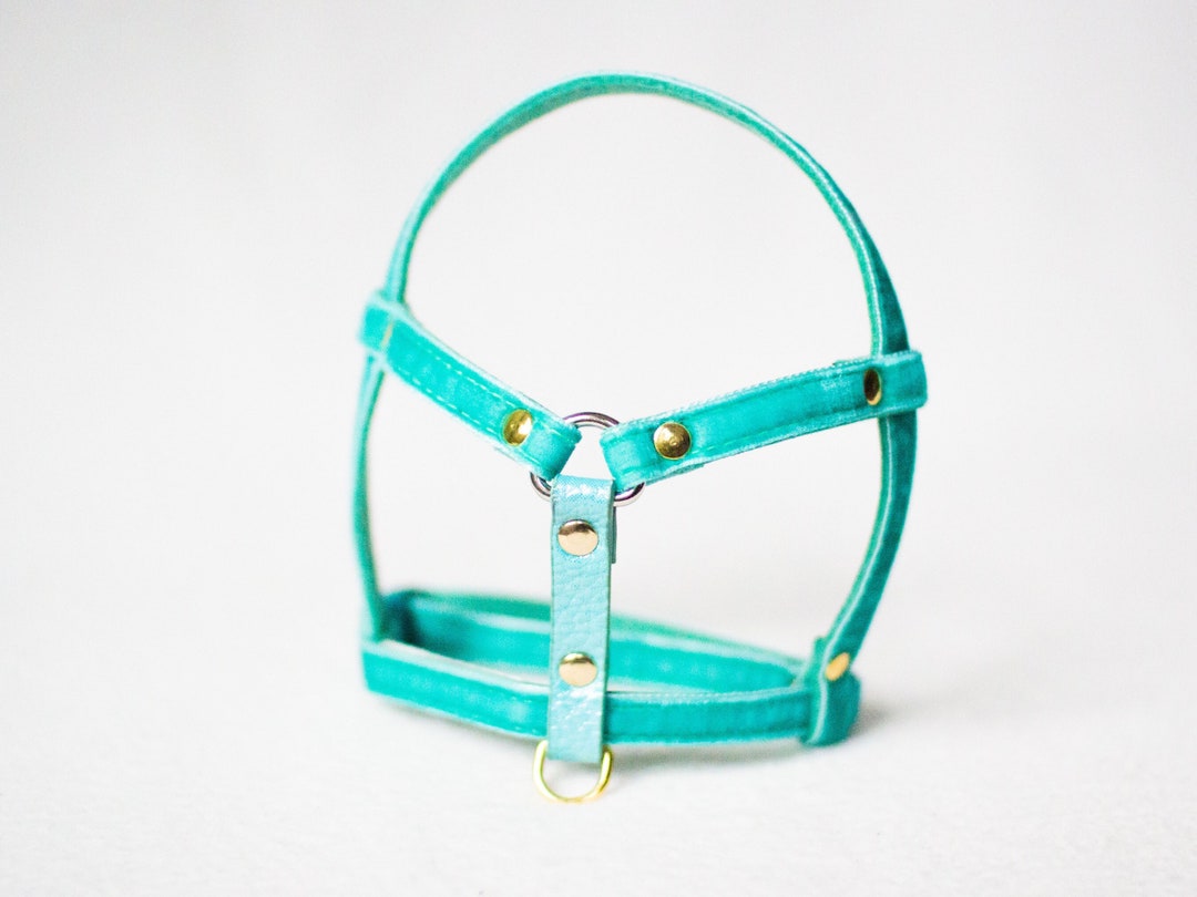 Harness for Rabbits - Unique Model for Rabbits - Etsy