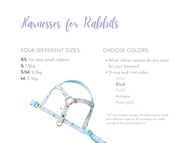 Harness for rabbits - Unique model for rabbits image 2