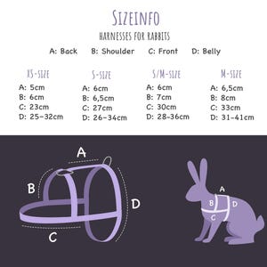 Harness for rabbits - Unique model for rabbits image 3