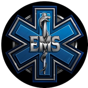May include: A blue and silver star of life with a snake and staff symbol and the letters EMS in the center.