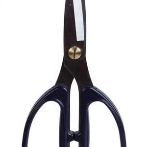 May include: A pair of blue handled kitchen shears with a silver blade. The shears have a gold rivet in the center.
