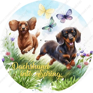May include: Two dachshund dogs, one brown and one black and tan, are running through a field of green grass and wildflowers. The text "Dachshund into Spring" is written in yellow script on the grass.