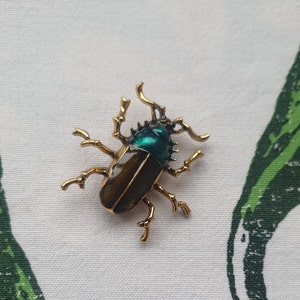 Grote keverbroche Emaille en bronzen insectenpin