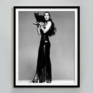 Cher Poster - Etsy