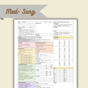 Med- Surg Nurse Report Sheet/ Brain 1 patient