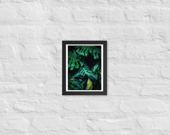 Framed poster - Monstera / swiss cheese plant Art Print