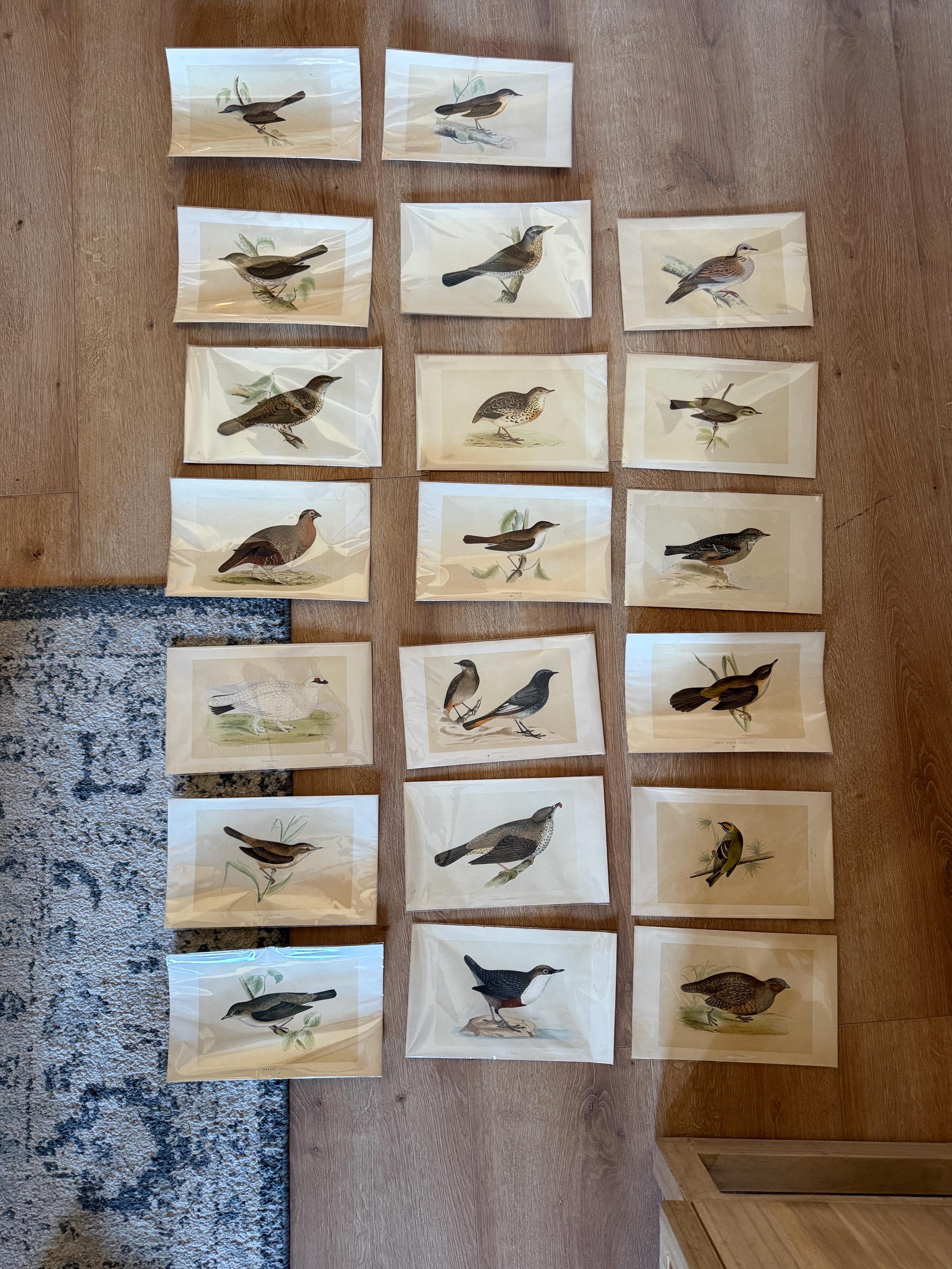 Christofle Bird - Etsy