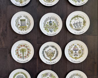 S/12 Vintage Frence Limoges D' Auteuil Chambord Ensalada o Plato de Postre 7.5"