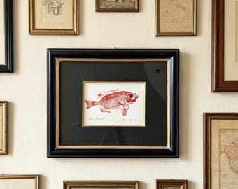 Dinah Bowman Signed Original 'Big Eye' Red Snapper Fish Art Print? in Black Solid Wood Frame with Gold trim 16.25"x 13"