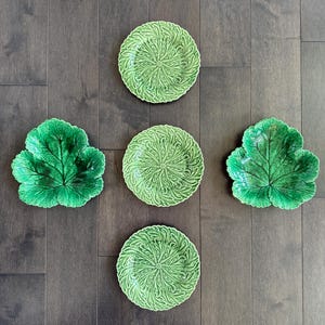 ビンテージウエッチウッドBONEchinaホワイトキャベツ葉模様ティーセット Wedgwood Cabbage - Etsy