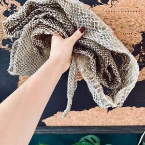 May include: A snakeskin, displaying a natural pattern of beige and brown scales. The shed skin is held up against a world map background, highlighting its texture and colour variations. The skin appears to be in good condition.