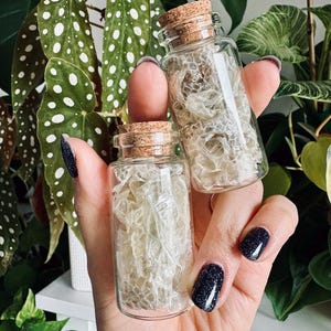 Pode incluir: Duas pequenas garrafas de vidro transparente com rolhas de cortiça, preenchidas com um material texturizado de cor clara. As garrafas são seguradas em uma mão com esmalte de glitter azul escuro, em um fundo de plantas verdes.