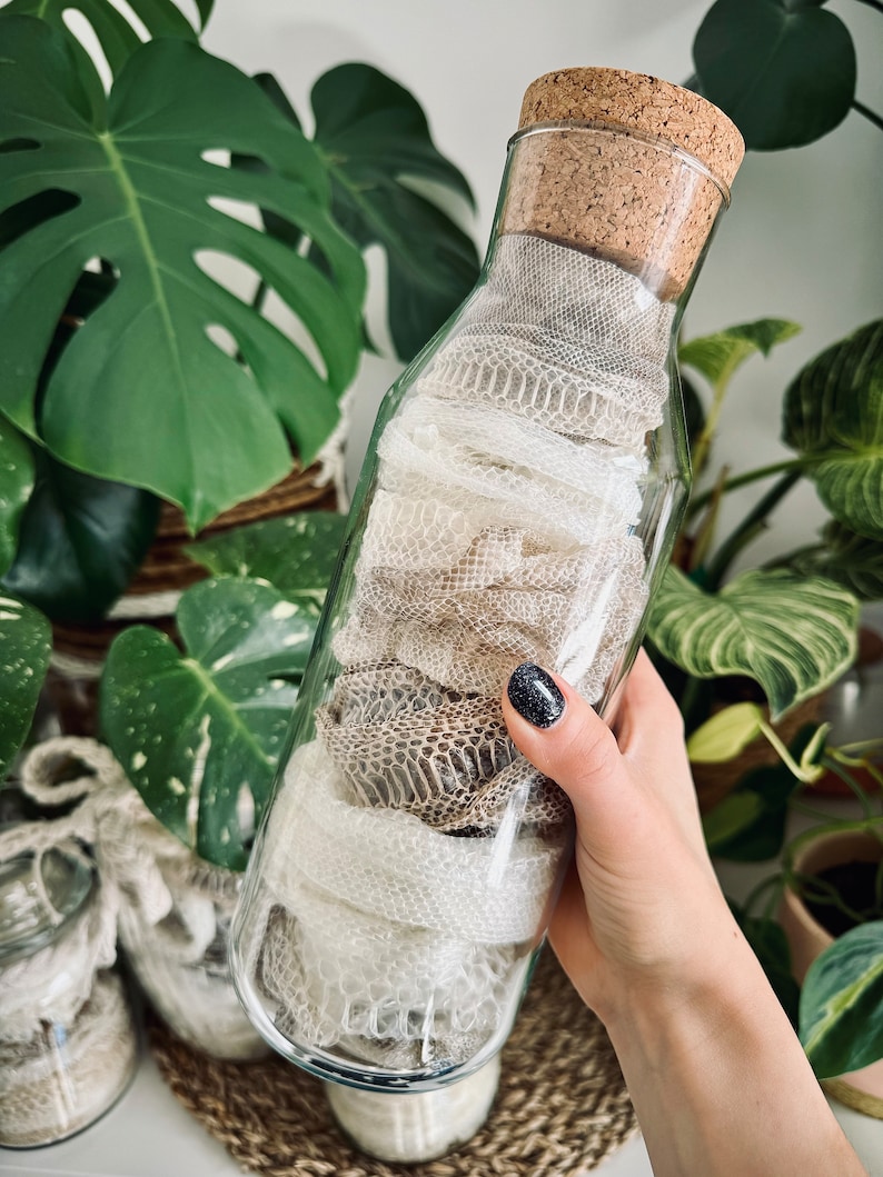 May include: A clear glass bottle with a cork stopper containing coiled, textured snake skin. The skin displays a natural, intricate scale pattern in shades of off-white, beige, and light brown, filling the interior of the cylindrical glass container.