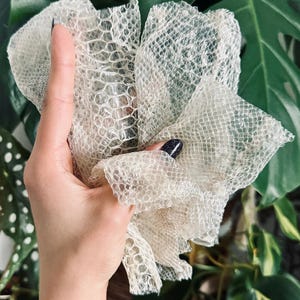 Slangenhuidstukjes | Natuurlijke slangenhuid voor het maken van sieraden, hekserij en knutselbenodigdheden