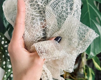 May include: A translucent, off-white snake skin shed with a distinct, repeating hexagonal scale pattern. The material is thin, lightweight, and flexible, showing a natural, organic texture with varying degrees of opacity across the surface.