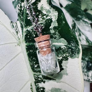 May include: A miniature glass bottle pendant necklace with a cork stopper, containing white, shredded material. The bottle is suspended from a silver-coloured chain. The backdrop is a large green and white leaf.