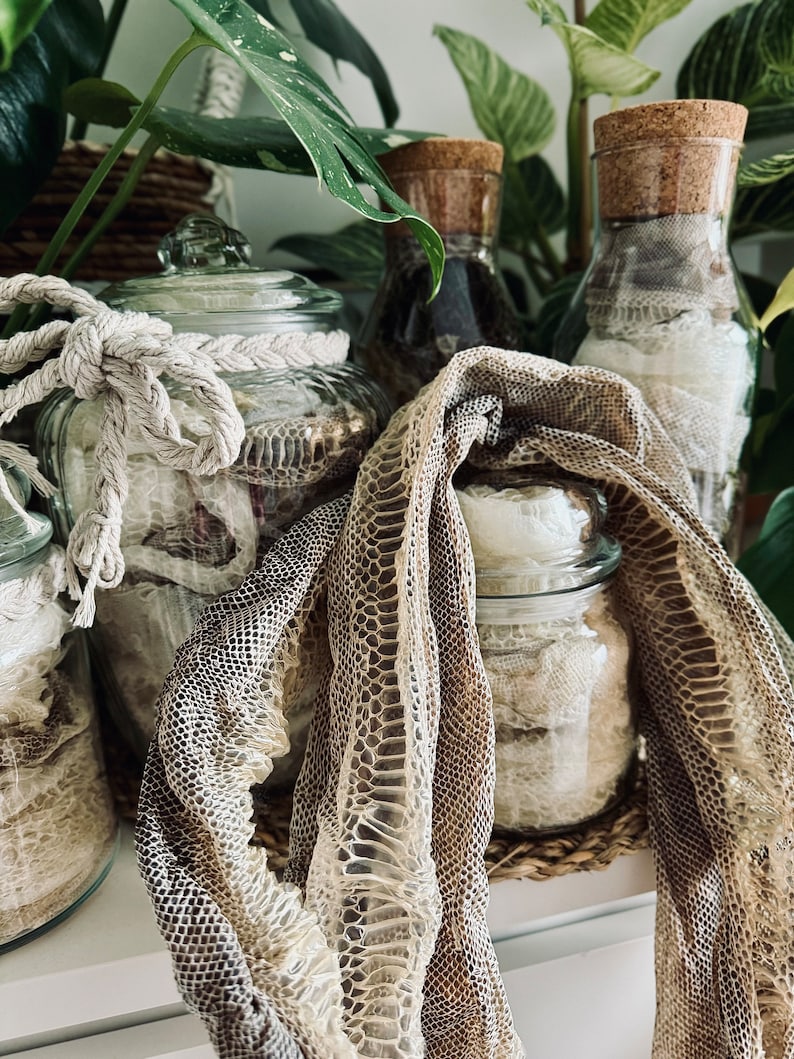 May include: A collection of clear glass jars filled with shed snake skin. One large jar features a braided rope tie around its neck. A long, textured, tan and brown patterned snake skin is draped over the jars, showcasing its intricate scale pattern.