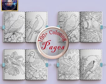 May include: A set of six colouring pages featuring various bird illustrations. The pages are designed for printing on A4 size paper. The text "100+ Coloring Pages" is visible in the centre of the image.