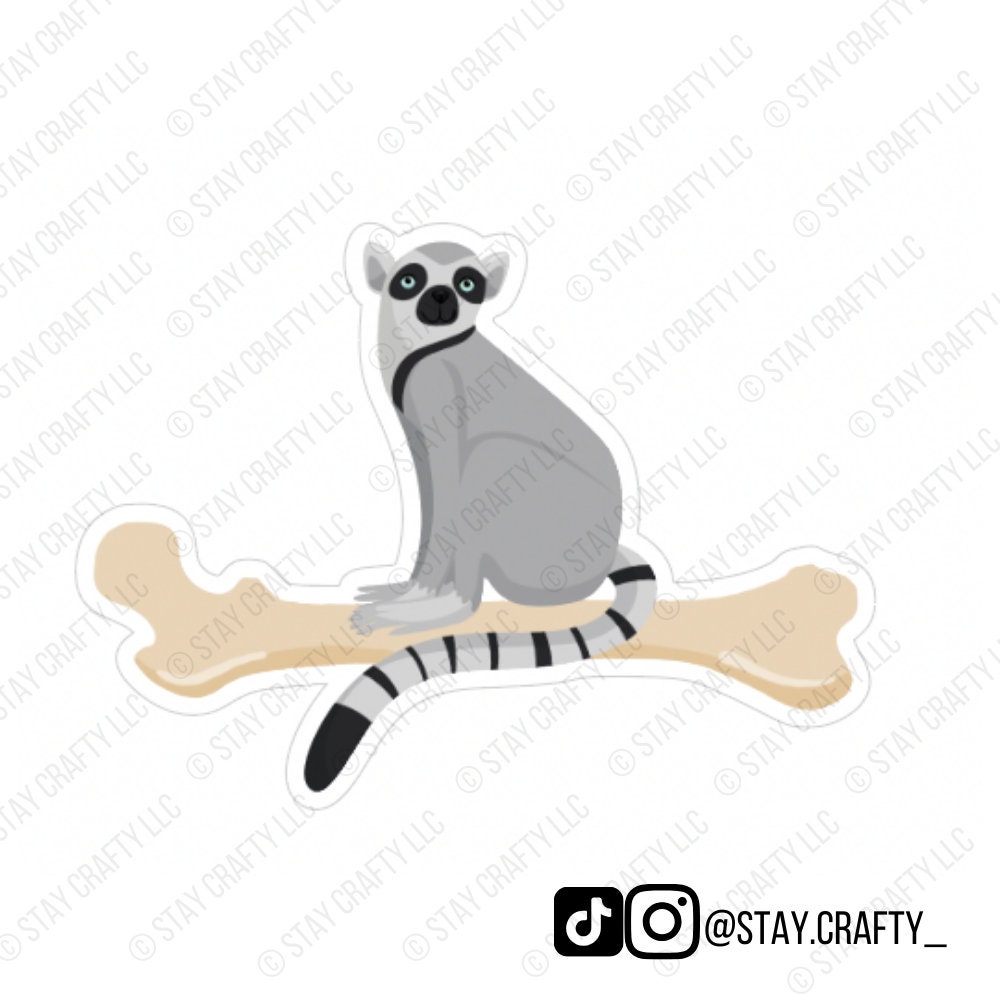 Lemur on a Femur- Funny sticker with Anatomy Pun