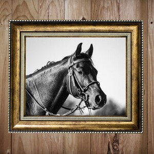 Horse Wall Art - Rustic Print, Cozy Room Decor, Wilderness Photography, Western Wall Art, Digital Download, Horse Poster, Farmhouse, Cabin