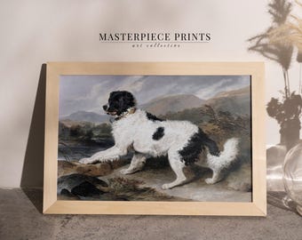 Retrato vintage de um cão Terra Nova, decoração de parede para animais de estimação em estilo fazenda antiga (download digital)