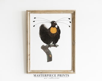 Vintage Bird Print, Antique Bird Painting, Bird Lover Art Print | Neutral Art Print  -  Farmhouse Wall Art PRINTABLE Download | B4