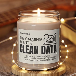 Funny Data Analyst Scientist Gift Soy Candle for Manager Coworker