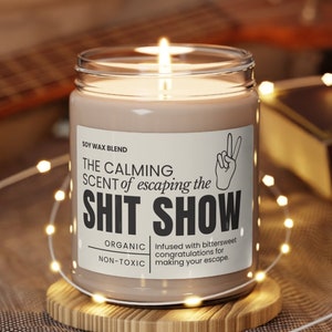 Funny coworker farewell candle gift for friend leaving job goodbye gifts for coworker leaving a job sarcastic candle boss leaving job moving