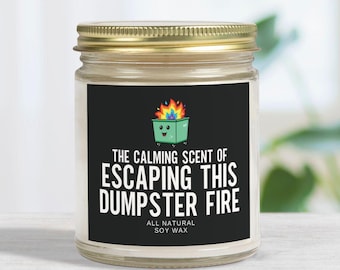 Funny dumpster fire candle gift for friend leaving job goodbye gifts for coworker leaving a job sarcastic gift boss farewell new job moving