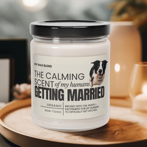 May include: A white candle jar with a black lid and a black and white border collie dog illustration. The label reads "The Calming Scent of my humans Getting Married". The candle is organic and non-toxic.