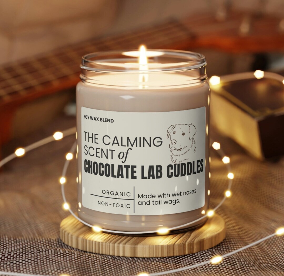 Chocolate Lab Gift, Chocolate Labrador Retriever Gift, Labrador ...