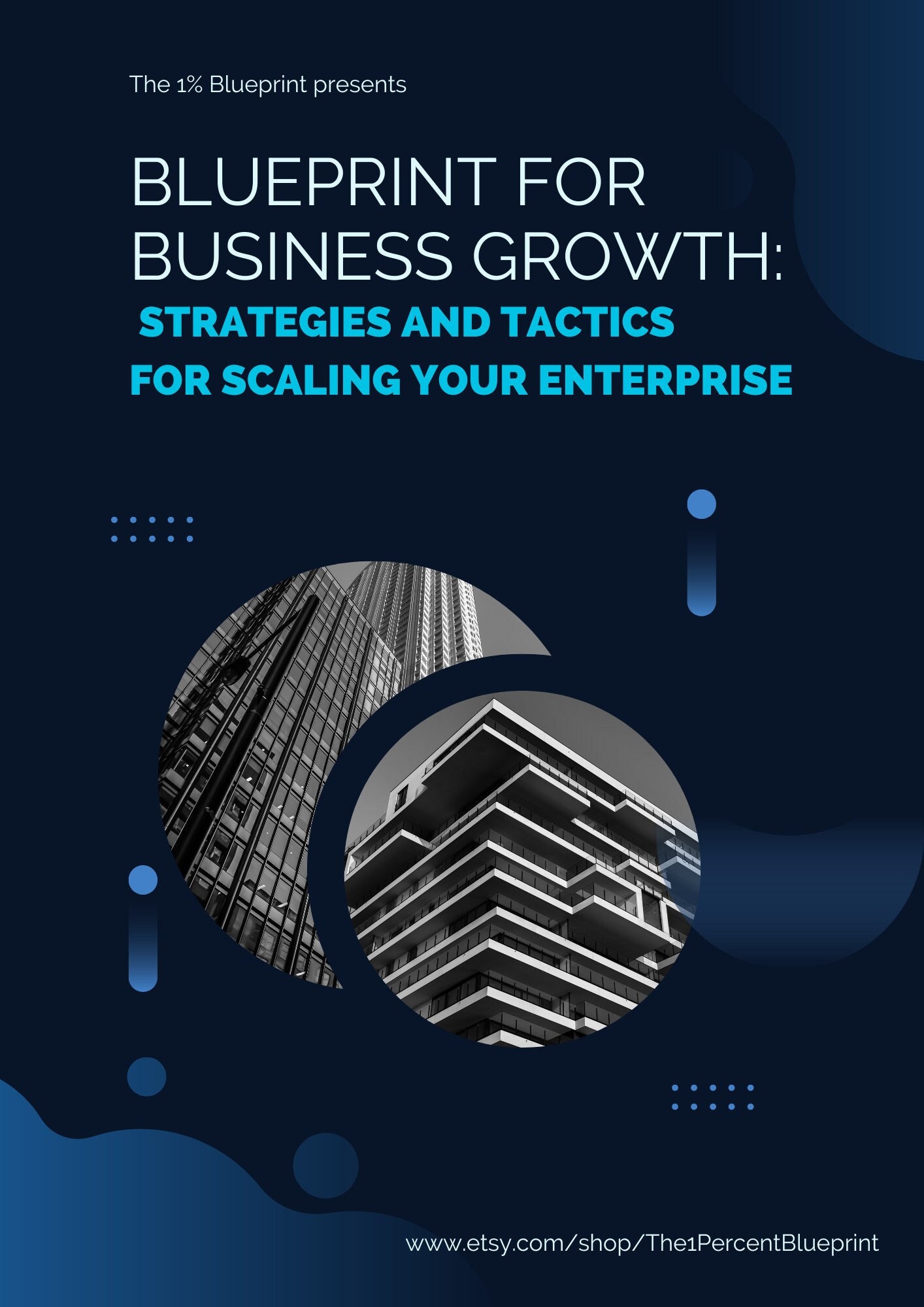 Blueprint for Business Growth: Strategies and Tactics for Scaling Your ...