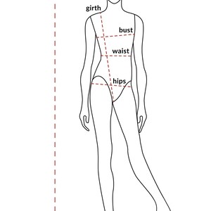I need the following measurements: height,bust,waist,hips,girth.