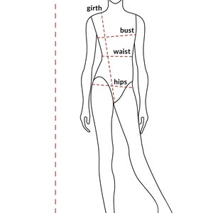 I need the following measurements: height,bust,waist,hips,girth.