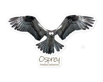 Osprey Hover Bubble-Free Stickers