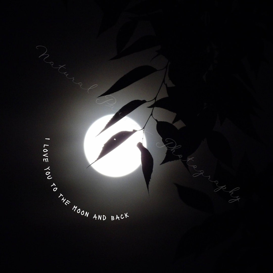 Printable full moon photograph with i love you to the etsy