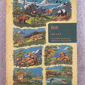 ヴィンテージ 1960 年代 ハードカバー ブック 鳥類 新イラスト入り動物界第 8 巻 レトロ 60 年代 書籍 生物学 1961 年 米国 鳥類 動物 科学