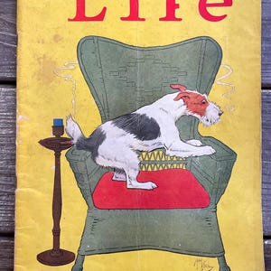 Antique 1920s LIFE 1927 Magazine Soft Cover Book Dog Deco Paper Vintage Retro 20s Wall Art Poster Home Decor Ad Print Gift Fashion Craft