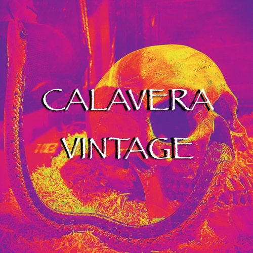 ヴィンテージ 1980年代 空山基 ロボット セクシー ピンナップ 女性 80